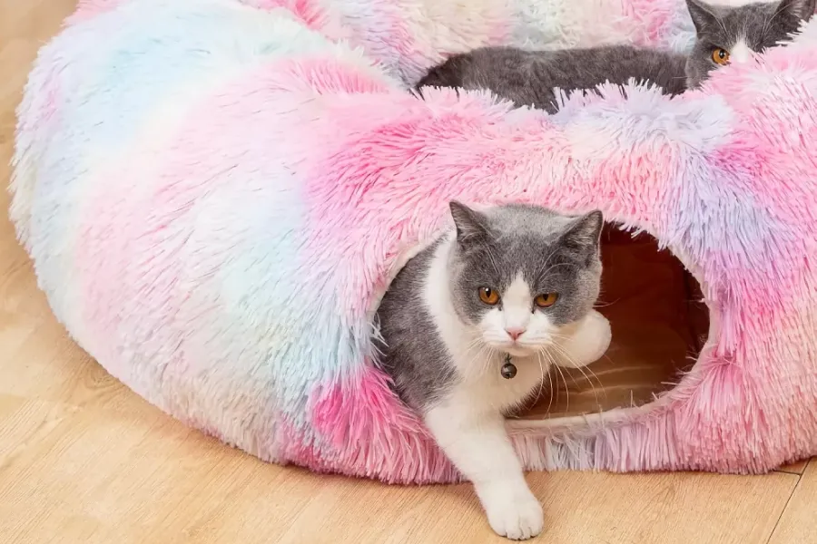 Comfortable Cat Tunnel and Bed Combo
