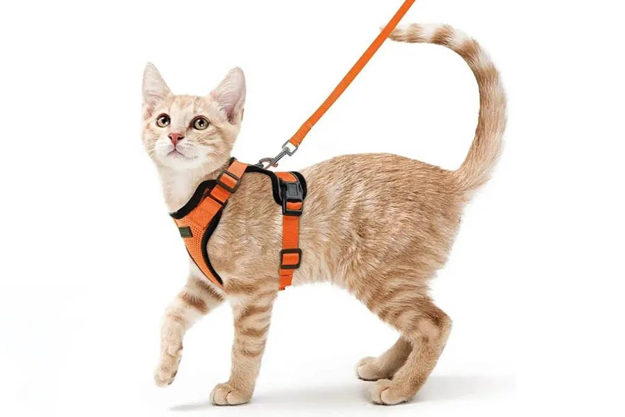 No-Escape Cat Walking Harness