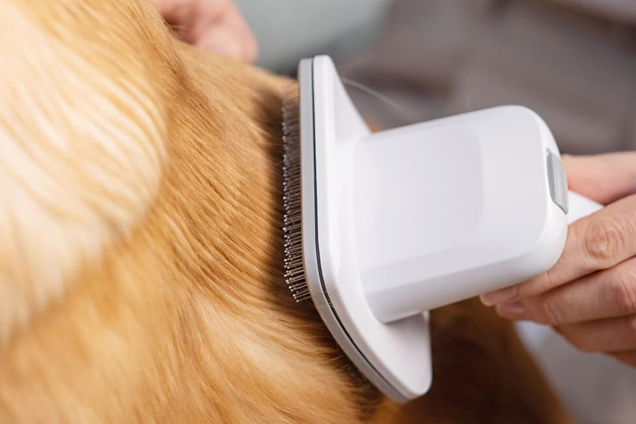 Home Grooming Vacuum for Dogs and Cats