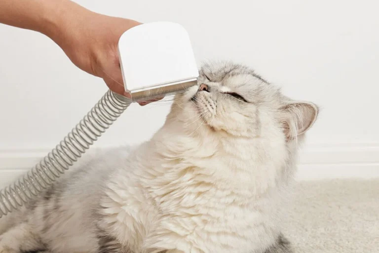 Home Grooming Vacuum for Dogs and Cats