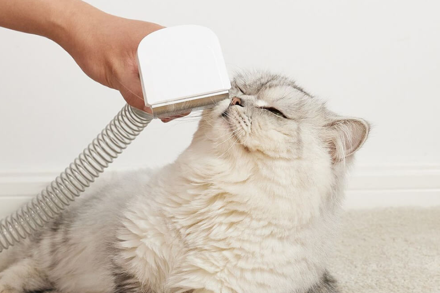 Home Grooming Vacuum for Dogs and Cats
